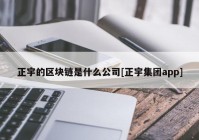 正宇的区块链是什么公司[正宇集团app]